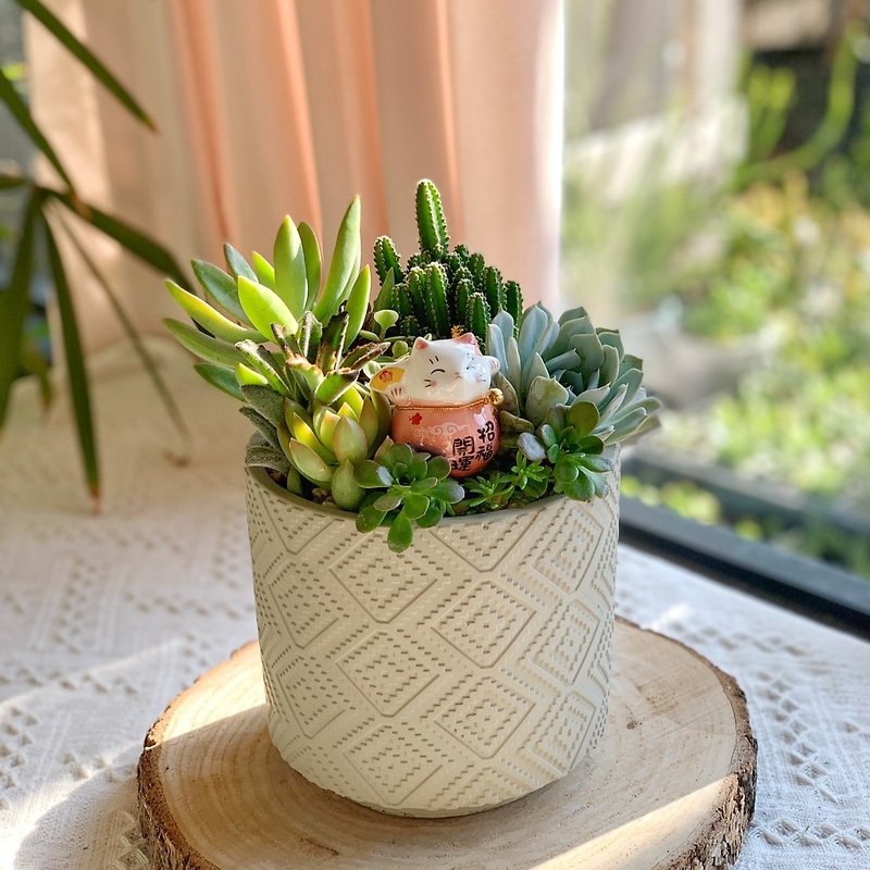 -Opening gift-lucky cat cement succulent basin-large cylindrical style. - ตกแต่งต้นไม้ - พืช/ดอกไม้ สีเขียว