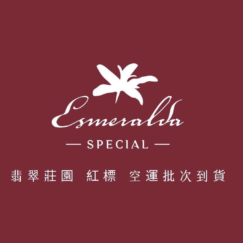 巴拿馬 翡翠莊園 紅標 瑰夏/藝伎 水洗處理 咖啡豆 100g - 咖啡/咖啡豆 - 其他材質 