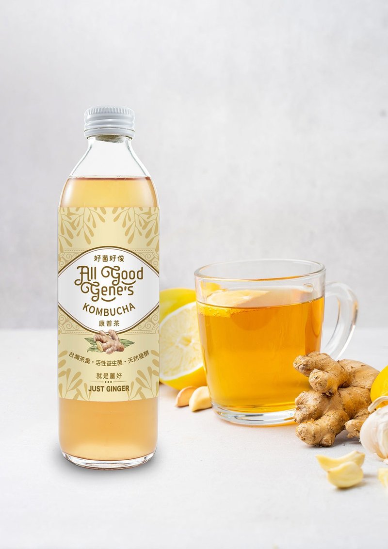 All Good Gene's 就是薑好康普茶12瓶 /300ml Just Ginger - 茶葉/茶包/水果茶 - 新鮮食材 