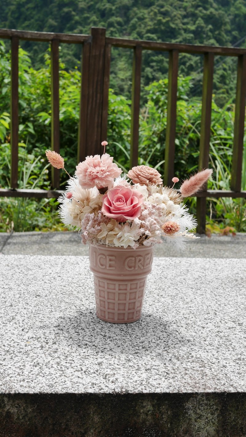 焦糖莓果冰淇淋 永生盆花 花禮 母親節 康乃馨 花束 永生花 - 乾燥花/永生花 - 植物．花 粉紅色
