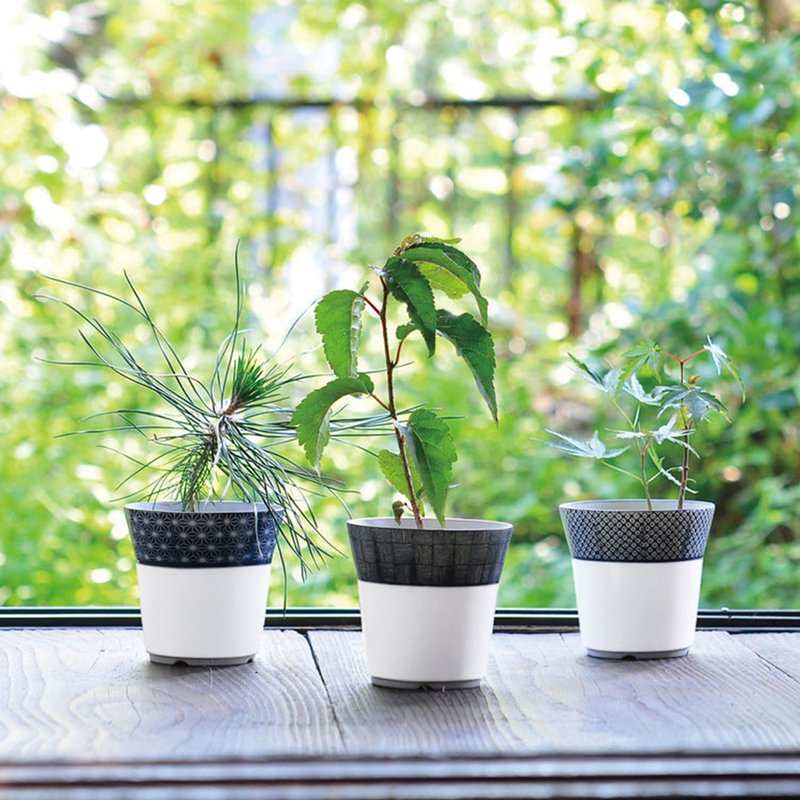 日本限定青花瓷盆景栽培 / 楓葉款 - 盆栽/植栽 - 陶 白色