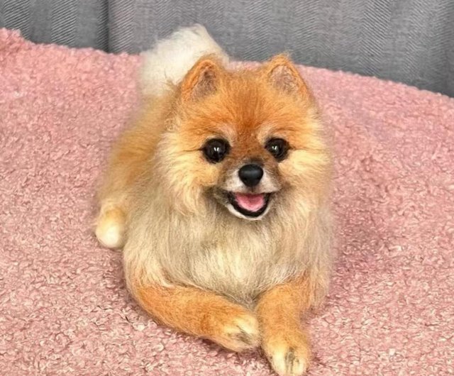 オーダー 送料無料】羊毛フェルト《うちの子約35cm 犬 猫