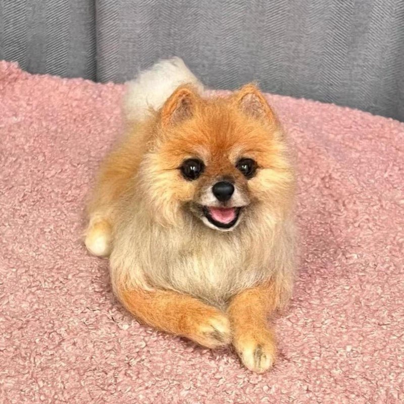 客制化逼真犬 羊毛氈 博美犬 寵物 娃娃 定制 手工 狗狗猫咪   55 - 貓/狗玩具 - 羊毛 多色