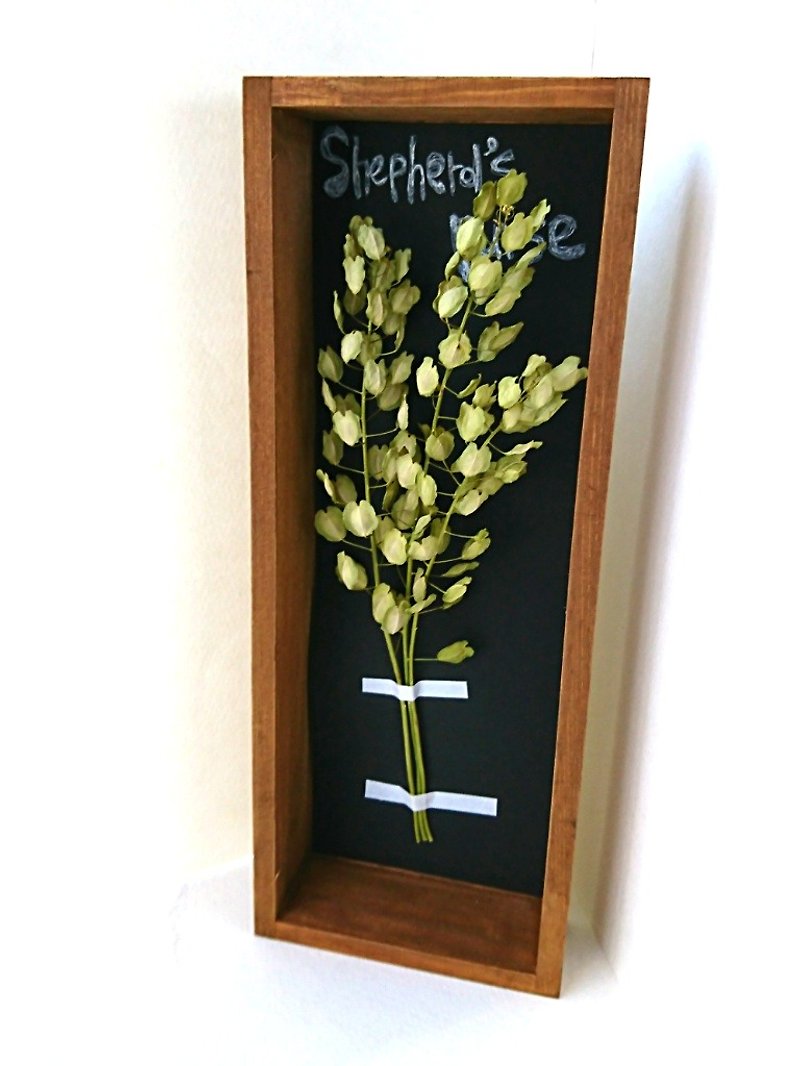 植物標本 ボックス ドライフラワー (ナズナversion.) - 牆貼/牆身裝飾 - 木頭 綠色