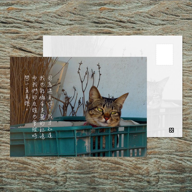 No.A16 Postcard/ Because I met you/ Buy 10 get 1 free - Cards & Postcards - Paper Multicolor