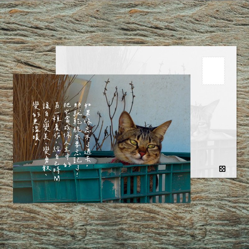 No.B16 明信片 / 如果你忘不了過去 / 任選買10送1 - 卡片/明信片 - 紙 多色