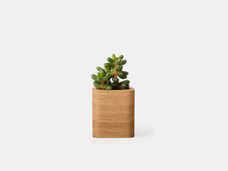 Cubic Pot - Wooden planter or desk organizer - 居家收納/收納盒/儲物盒 - 木頭 咖啡色