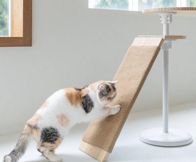猫用爪とぎランプ | あらゆる年齢の猫が簡単に登れる