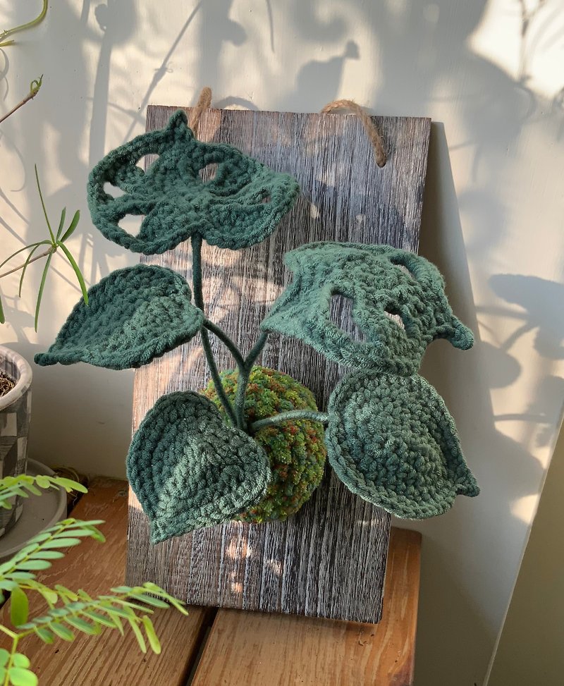 [Customized area] Upper plate plant knitted handmade products/graduation season gifts - ตกแต่งผนัง - วัสดุอื่นๆ หลากหลายสี