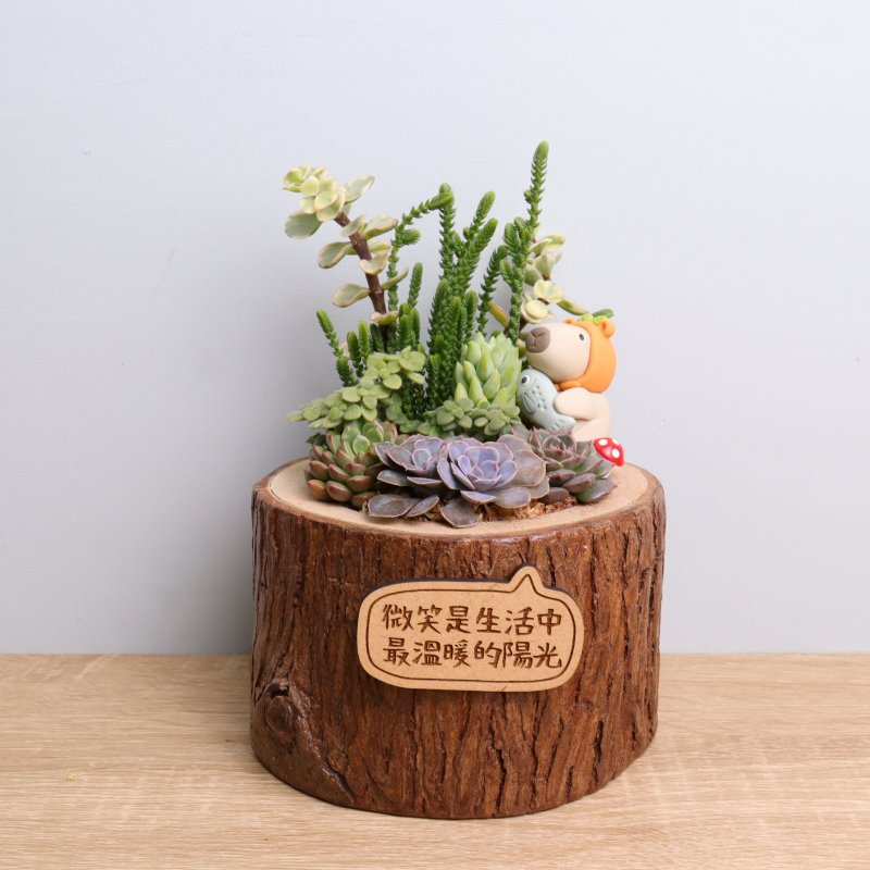 Orange capybara succulent plant potted letter plate customized birthday opening gift Christmas exchange gift - ตกแต่งต้นไม้ - ไม้ ขาว