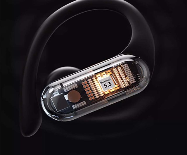 イヤホン ワイヤレス Bluetooth sanag Sanag ワイヤレスイヤホン 骨伝導イヤホン イヤホン Bluetooth5