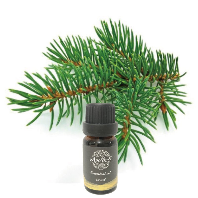 西柏利亞冷杉精油 PINE SIBERIA - 香氛/精油/擴香 - 精油 