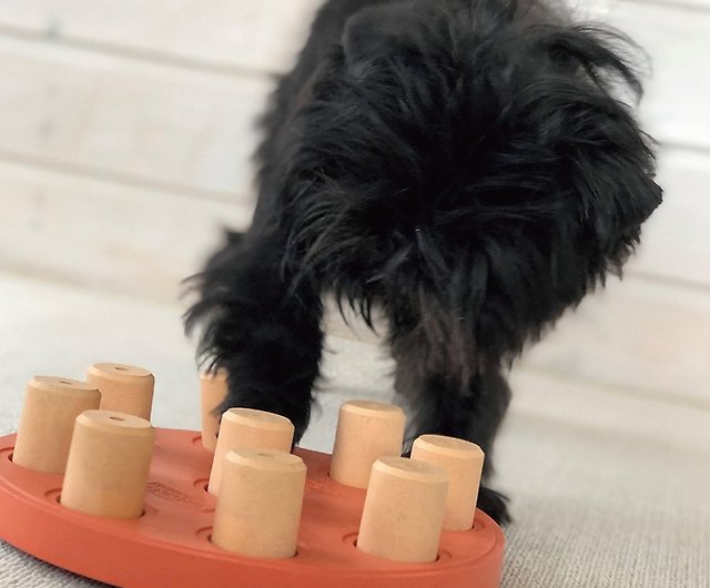 Nina Ottosson Dog Smart - Shop Outward Hound Pet Toys - Pinkoi