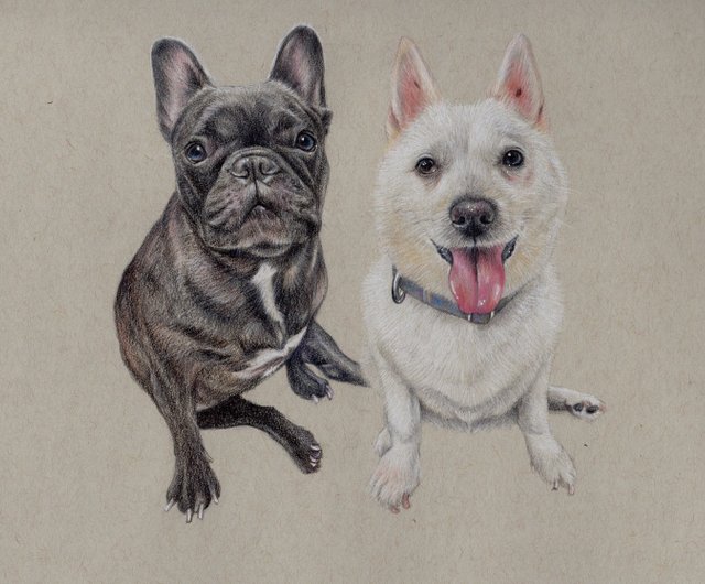 愛犬愛猫の似顔絵描きます。オーダー依頼用 色鉛筆画✭愛猫愛犬