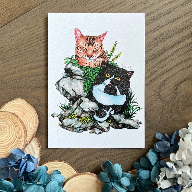 【Cat Crazy】Postcard(149) - Cards & Postcards - Paper Multicolor