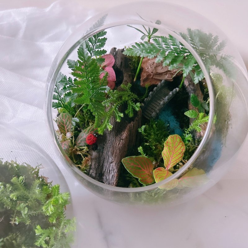 Taoyuan Eco-Bottle Indoor Plant Experience Course - Plants & Floral Arrangement - Plants & Flowers 