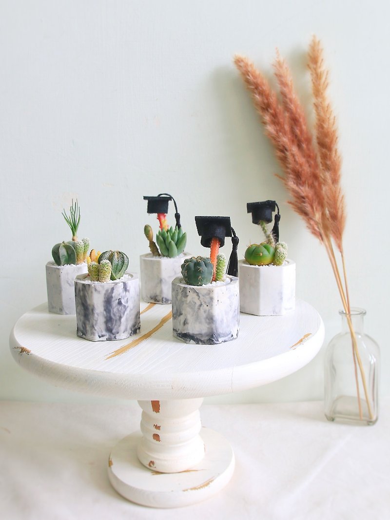 [Mud is so cute] mini octagonal Cement potted plant with customized English letters - Plants - Cement Gray