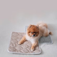 Mongster Comfort Mat 毛孩外出舒適墊