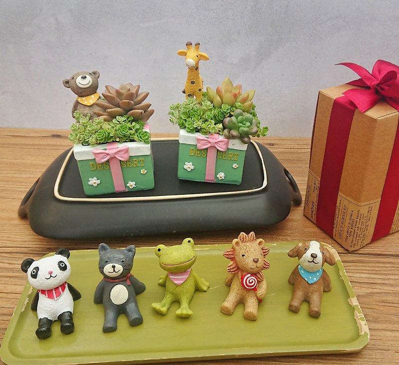 Gift box at the zoo | Succulent potted gift packaging - Plants - Plants & Flowers Green