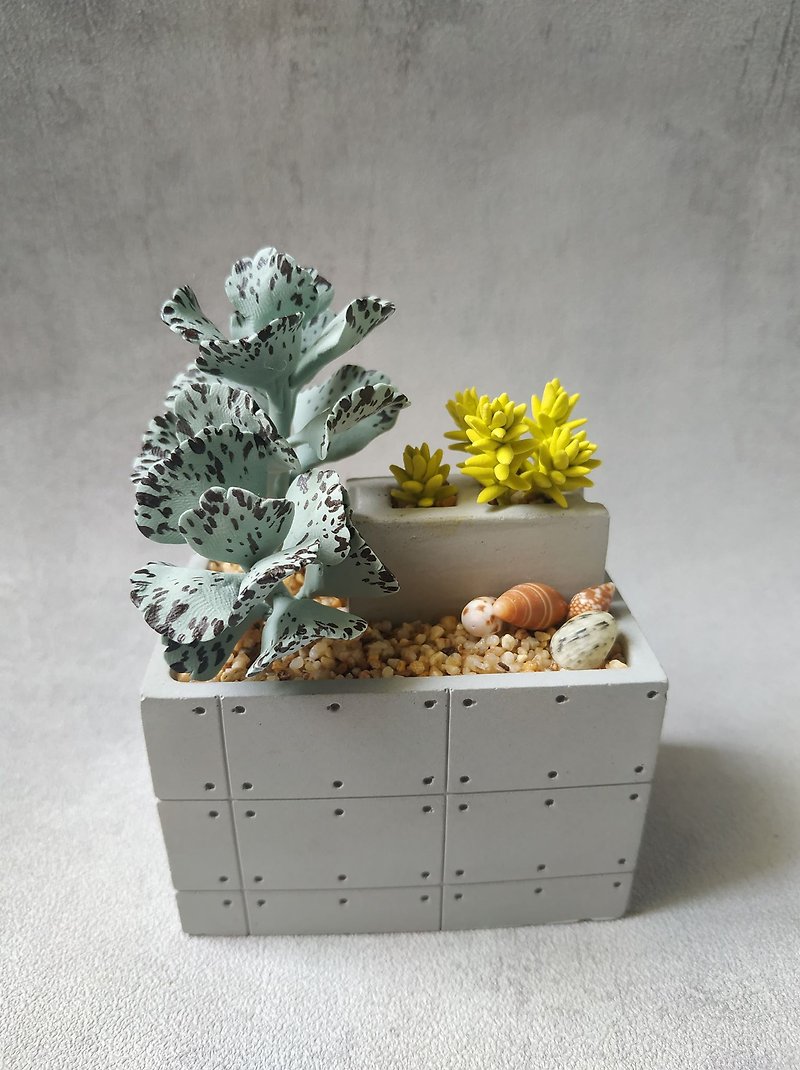 Wen Qingfeng-Chocolate Bird Fan Succulents Micro Landscape-Clear Water Molded Pot Decoration - Plants - Clay Gray