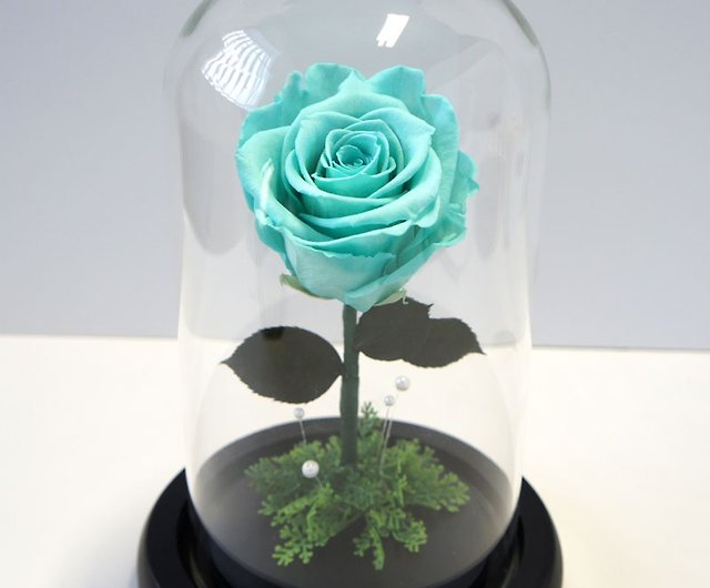 New アマランスは大きなガラス黒い底の花のセレモニーリトルプリンス獣同様のモデルミントグリーンの意味をバラ ショップ Rose Deco 置物 Pinkoi
