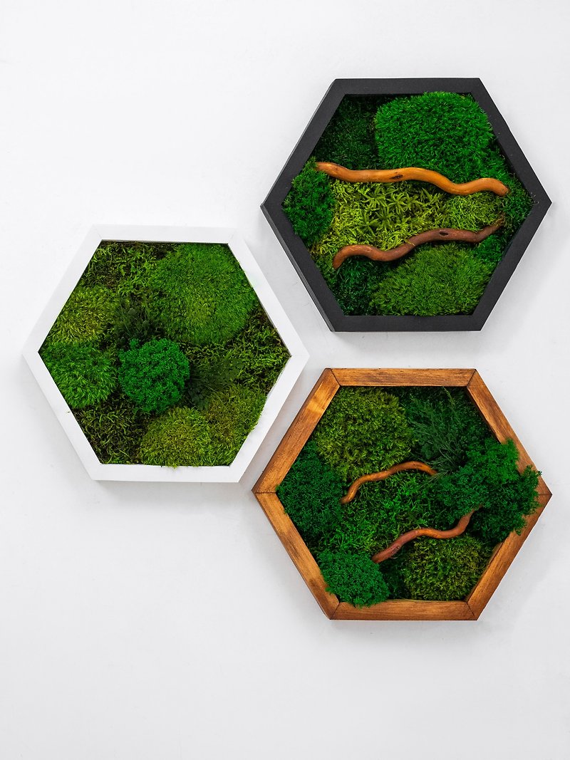 Moss wood wall art decor, eco decor, honeycomb wall art, moss green wood art - ตกแต่งผนัง - พืช/ดอกไม้ สีเขียว