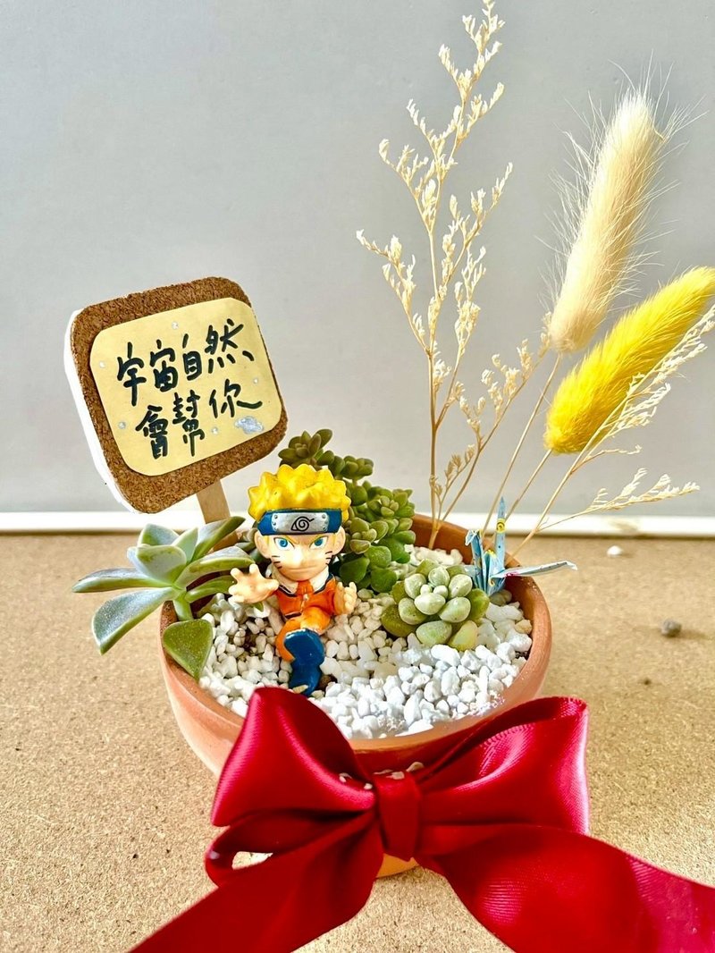 台中多肉組盆 多肉植物 日式枯山水 火影忍者 漩渦 鳴人 Naruto - 盆栽/植栽 - 植物．花 綠色