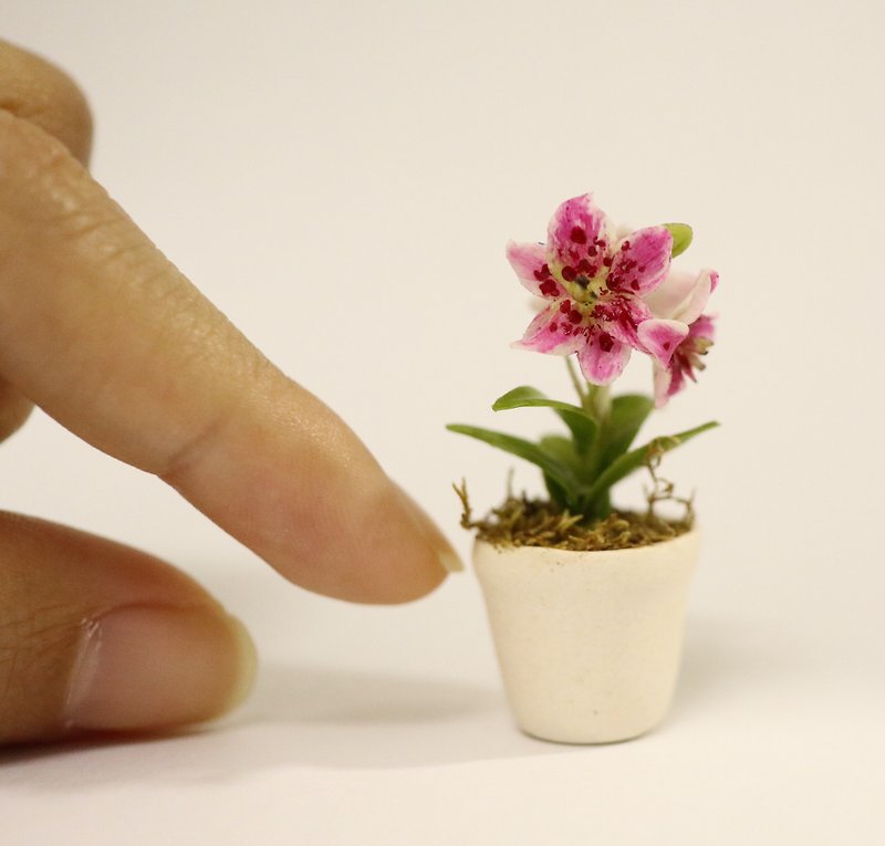 Pink Lily flower doll house, realistic plant, scale 1 12, miniature - 擺飾/家飾品 - 黏土 粉紅色