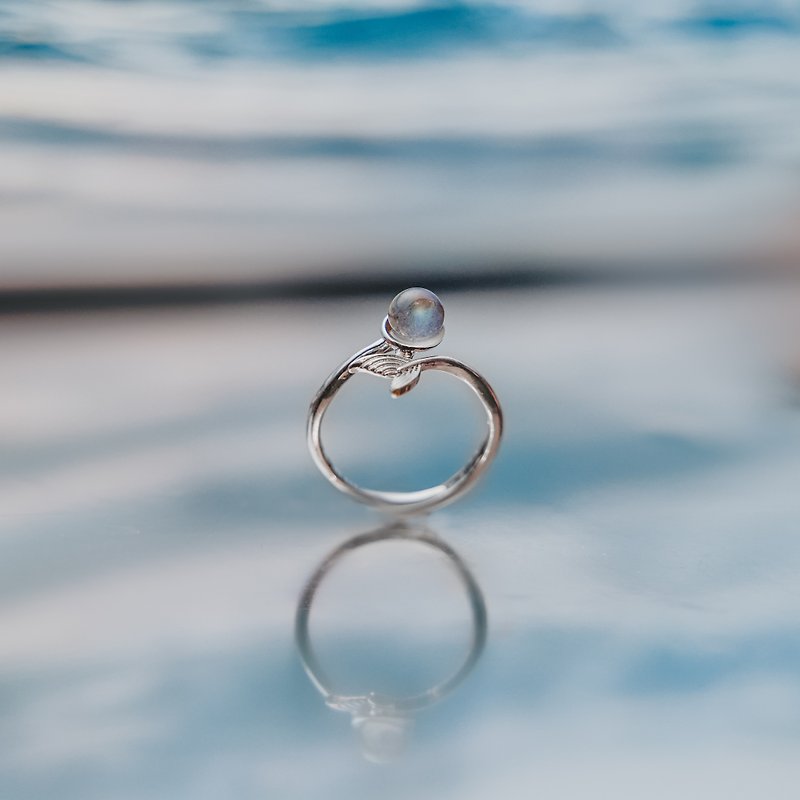海豚環遊世界水晶戒指 Dolphin Crystal Ring - 戒指 - 純銀 銀色