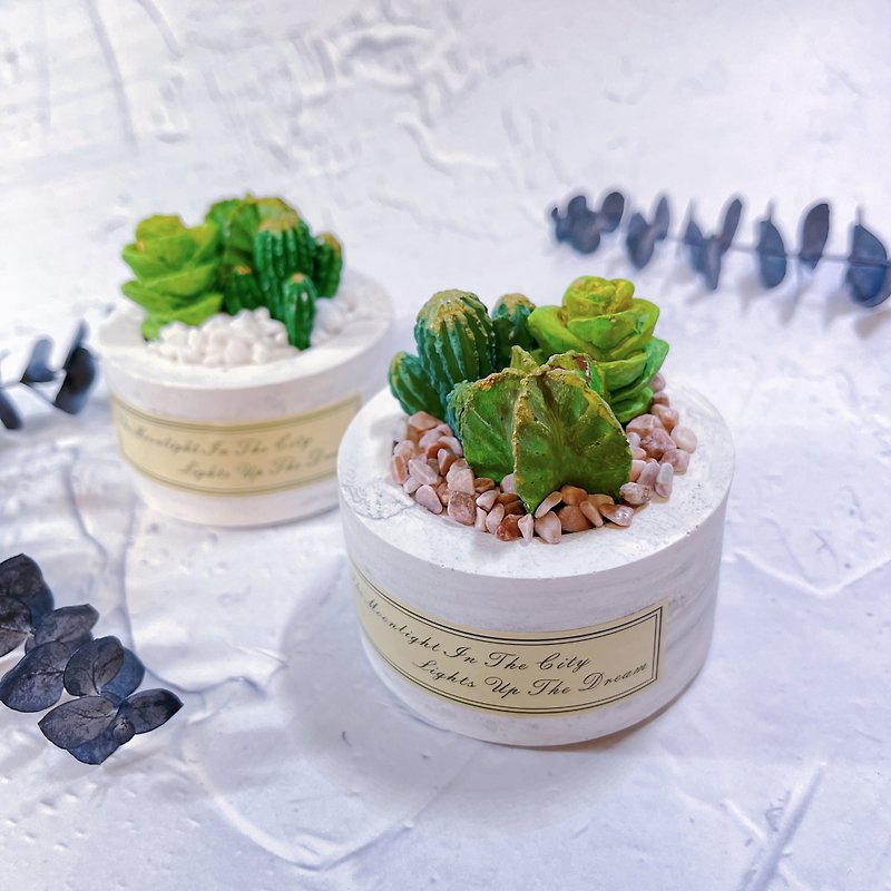 Cactus potted plants, money string jade, succulent potted plants, cactus aroma diffuser Stone, free fragrance essential oils - น้ำหอม - หิน สีเขียว