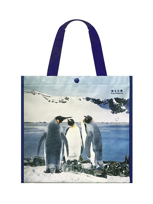 Sunny Bag Sunny Bag x 林鴻兒 方型時尚多功能提袋-馬可羅尼企鵝