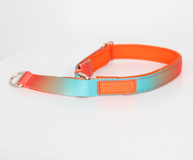 Orange and blue dog hot sale collar