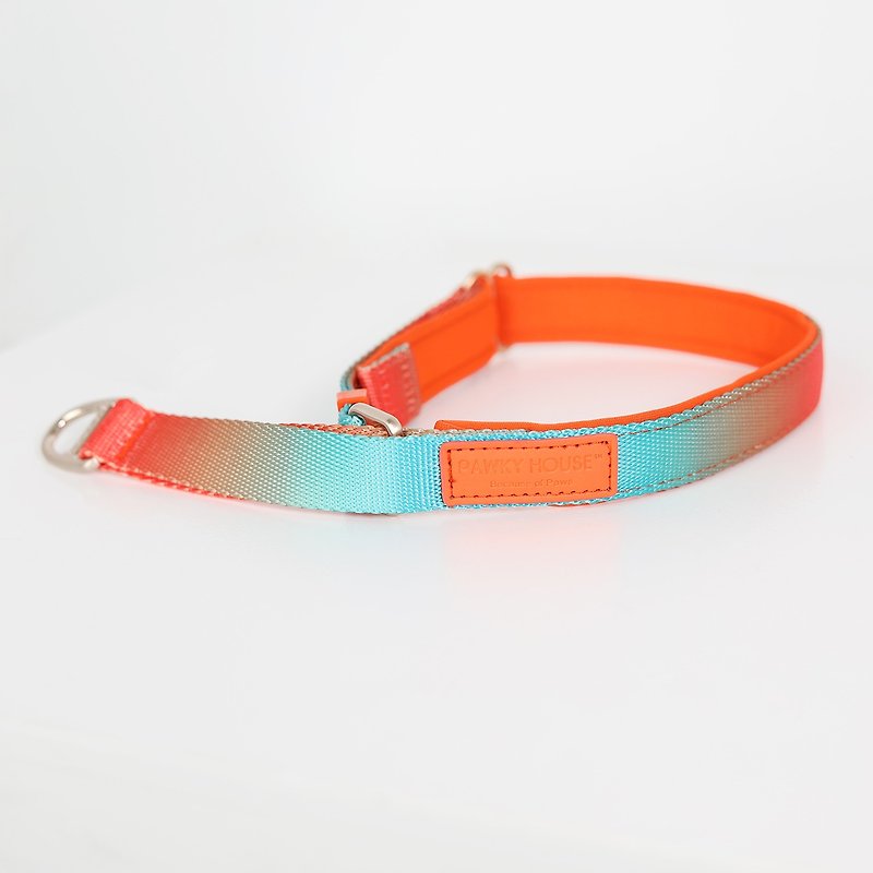 The trainer recommends that the dog collar orange blue gradient is comfortable and not crushed. Pre-sale - ปลอกคอ - เส้นใยสังเคราะห์ 
