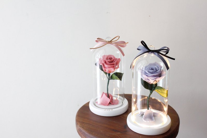 Single everlasting rose night light - Dried Flowers & Bouquets - Plants & Flowers 