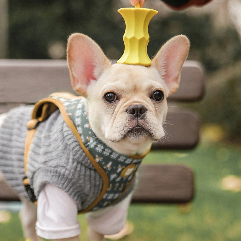 pidan 犬用玩具 磨牙咬膠系列 蘋果核 - 貓/狗玩具 - 其他人造纖維 黃色