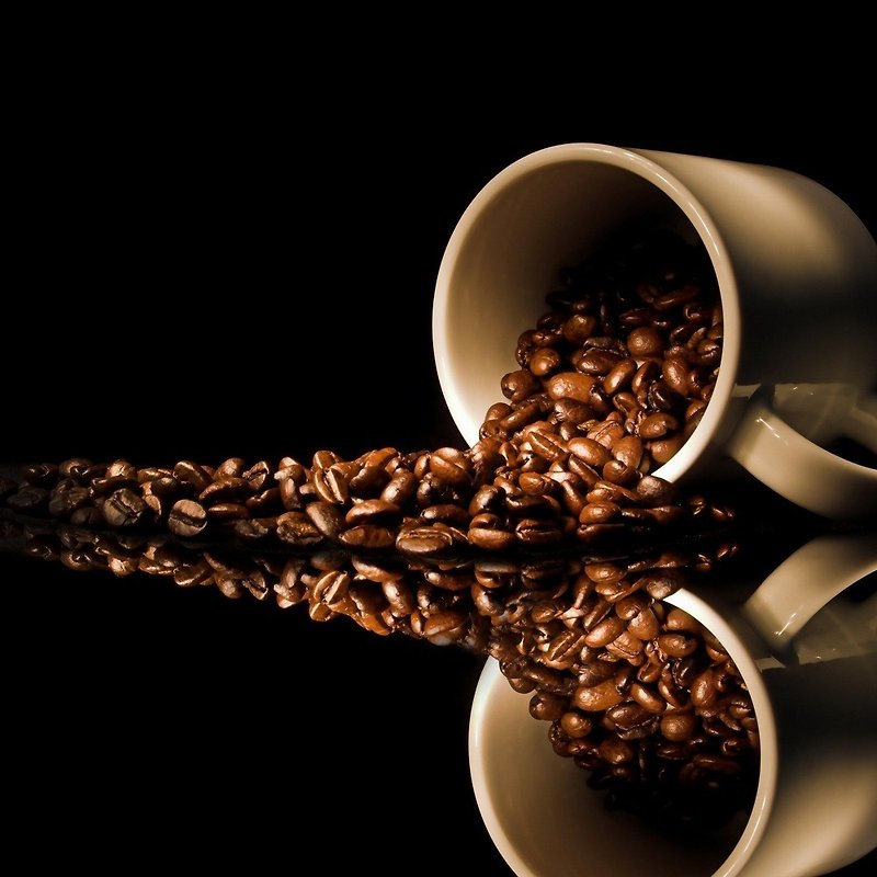 【05B批次】半磅精品咖啡豆 買一送二 精品莊園豆 HOFFE 新鮮現烘 - 咖啡/咖啡豆 - 其他材質 咖啡色