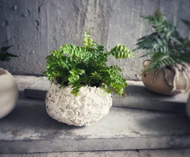 花器 信楽焼 恐竜のたまご 花器信楽焼 恐竜のたまご