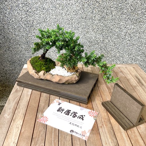 小品盆栽-杜松組合盆景送禮野趣小品盆栽Rustic Charm Bonsai|植 小品盆栽-杜松組合盆景送禮野趣小品盆栽Rustic Charm Bonsai|植