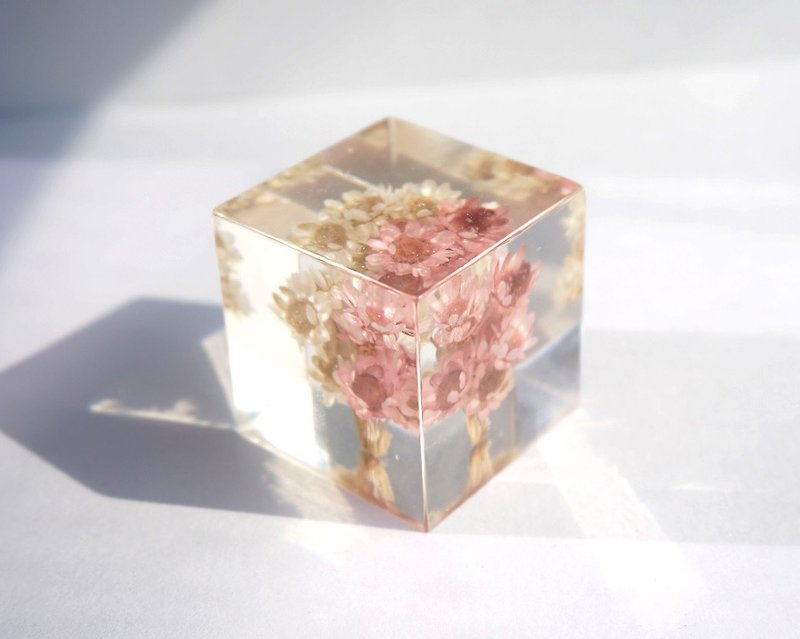Dried flower - Huang pink flowers - dried flowers decoration three-dimensional square - อื่นๆ - พืช/ดอกไม้ สึชมพู