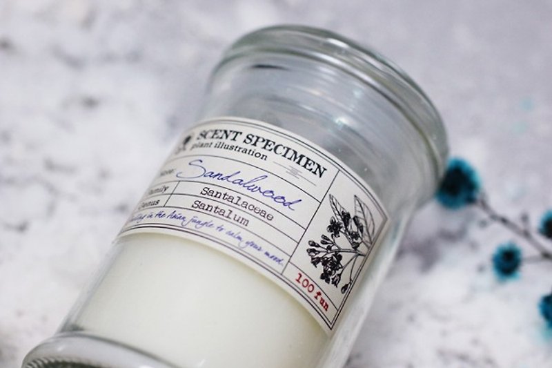 Scented specimen scented candle-sandalwood - Candles & Candle Holders - Other Materials 