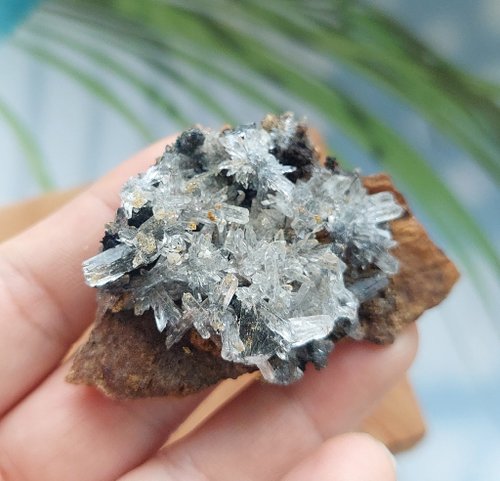 天然石 石膏 水晶 花 湖北省産セレナイト石膏花天然鉱石原石 - ショップ alice-gems