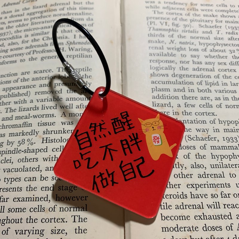 自然醒 吃不胖 做自己 - 龍年春聯斗方壓克力吊飾鑰匙圈掛飾 - 吊飾/掛飾 - 壓克力 黃色