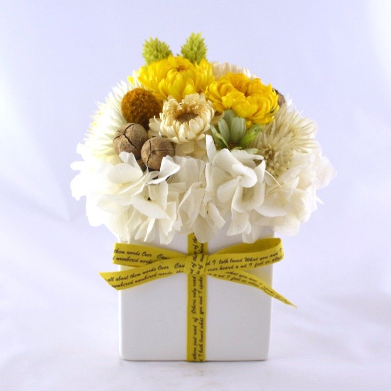 Flower mound | golden memories mixed dried flower ceremony not withered potted straw yellow daisy Valentine gift exchange - Plants - Plants & Flowers Yellow