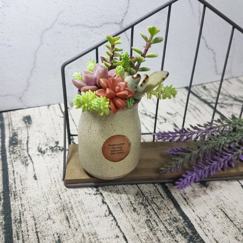 Rustic &amp;amp; vintage milk bottles ( with Succulents )