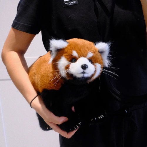 小熊猫 仿真小熊貓手工玩偶- 小熊貓博物館