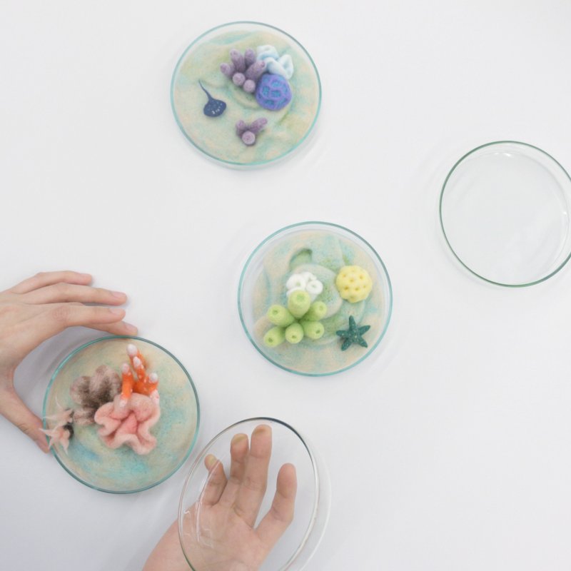 6.15 [Wool felt. Needle felt] Forest in the sea in a petri dish - Knitting / Felted Wool / Cloth - Wool 