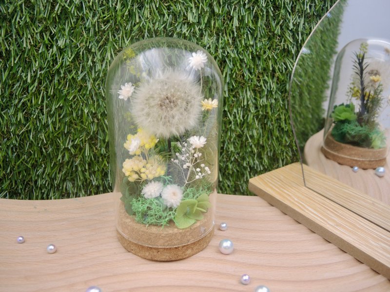 蒲公英 永生蒲公英玻璃罩 乾燥花 永生花 婚禮小物 客製化禮物 - 乾燥花/永生花 - 植物．花 白色