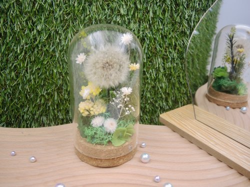 拾旭 BLOOMSUN STUDIO 蒲公英 永生蒲公英玻璃罩 乾燥花 永生花 婚禮小物 客製化禮物