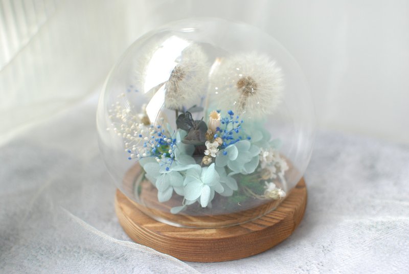 Dandelion crystal ball - Dried Flowers & Bouquets - Plants & Flowers 