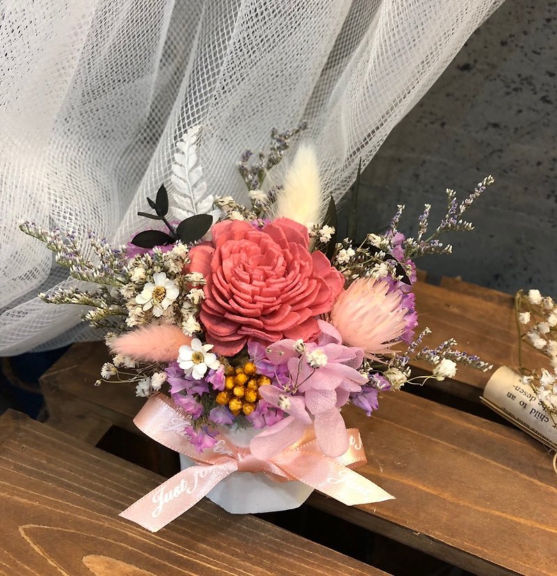 [Meet Everlasting] Dry Flower Decoration / Single Sun Rose / Pink Color Potted Plant - ช่อดอกไม้แห้ง - พืช/ดอกไม้ 